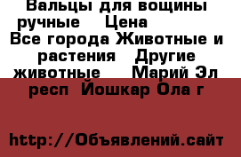 Вальцы для вощины ручные  › Цена ­ 10 000 - Все города Животные и растения » Другие животные   . Марий Эл респ.,Йошкар-Ола г.